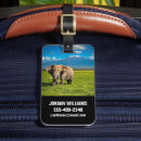 Search for kenya luggage tags Mt kilimanjaro