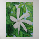 Search for rain gifts Botanical