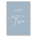 Search for dusty blue table cards Script