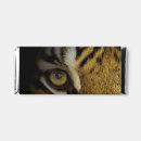 Search for tiger favors Feline