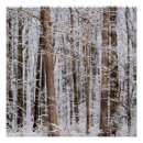 Search for snow covered trees posters Forest