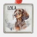 Search for dachshund ornaments Watercolor