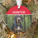 Search for coonhound ornaments Black and tan coonhound