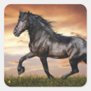 Search for black stallion stickers Animal
