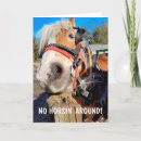 Search for horse pun cards Cute