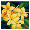 Search for hawaiian posters bird of paradise
