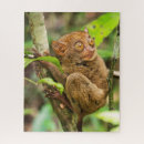 Search for wildlife puzzles Exotic