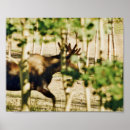 Search for 8x10 posters Paper