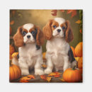 Search for thanksgiving magnets Animal
