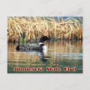 Search for minnesota postcards Loon