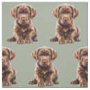 Search for labrador retriever fabric Dog