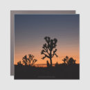 Search for orange bumper stickers Photograph