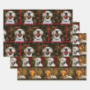 Search for labrador retriever christmas wrapping paper Xmas