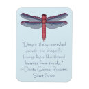 Search for dragonfly magnets Blue