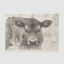 Search for vintage tissue paper Western