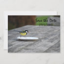 Search for surprise party save the dates Fun