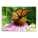 Search for office school Butterflies