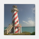 Search for bahamas magnets Grand bahama