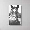 Search for portrait canvas prints Black and white