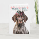 Search for german shorthaired pointer dog cards Dogs