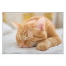 Search for tabbys place Pet