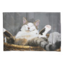 Search for funny pillowcases Feline