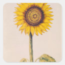 Search for vellum paper printing Robert