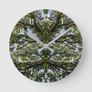 Search for mirror clocks Nature