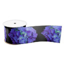 Search for cobalt blue ribbon Sapphire