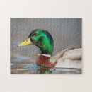 Search for mallard duck puzzles Water