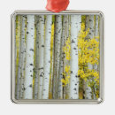 Search for fall autumn leaves christmas decor Aspen