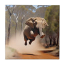Search for elephant tiles funny
