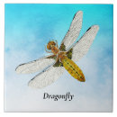 Search for dragonfly tiles Damselfly