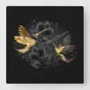 Search for hummingbirds clocks Colibri