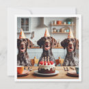 Search for german birthday invitations Dog