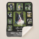 Search for new puppy gifts For pets