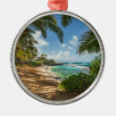 Search for hawaii ornaments Sand
