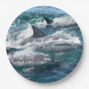 Search for dolphins paper plates Blue