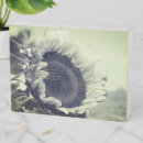 Search for black white sunflower art Photography