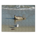 Search for seal puzzles Ocean