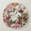 Search for orchid pillows Ernst haeckel