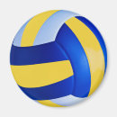 Search for volleyball magnets Player