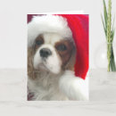 Search for cavalier king charles spaniel christmas cards Puppy