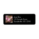 Search for japanese cherry blossom return address labels Nature