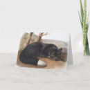 Search for fox cards Wildlife