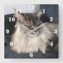 Search for cat clocks Animal