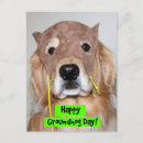 Search for groundhog day postcards Funny