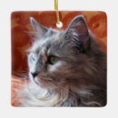 Search for gray cat ornaments Kitty