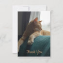 Search for cat thank you cards Orange