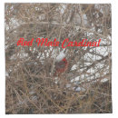 Search for red cardinal napkins Winter